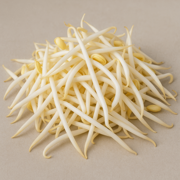 Germen de Soya Grueso ( MOYASHI )