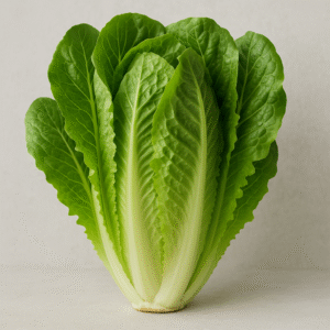 Lechuga Orejona