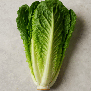 Lechuga Romana