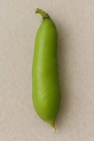 Haba Verde