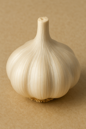 Ajo