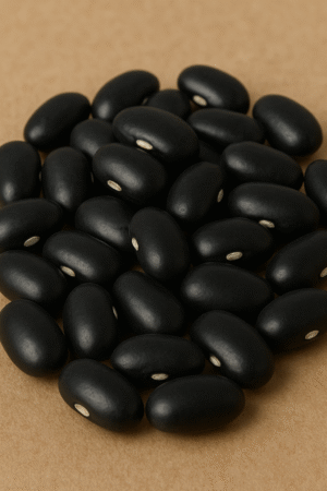 Frijol Negro