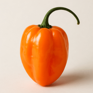 Chile Habanero